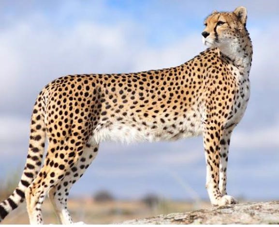 Territorios de Kenia 15 Septiembre